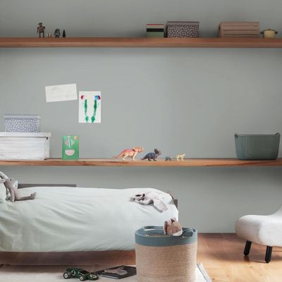 Peinture crème de couleur Gris Alpaga velours 2,25L - DULUX VALENTINE