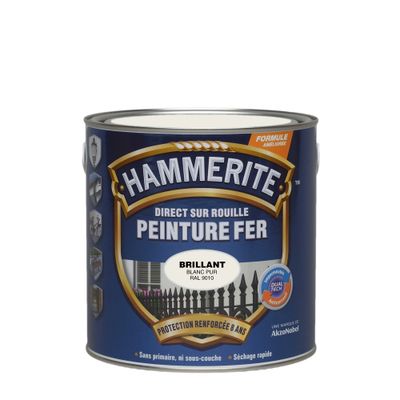 Peinture fer extérieur direct sur rouille Brillant Blanc Pur 2.5 litres HAMMERITE