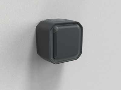 Prise électrique étanche IP55 en saillie 2 pôles + terre Anthracite - Plexo LEGRAND