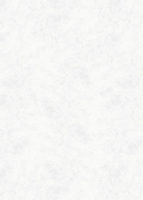 Panneau mural de douche 150x210 cm marbre DécoDesign Décor - SCHULTE