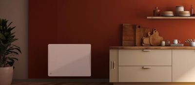 Radiateur à inertie sèche Aloa 1000 W BESTHERM