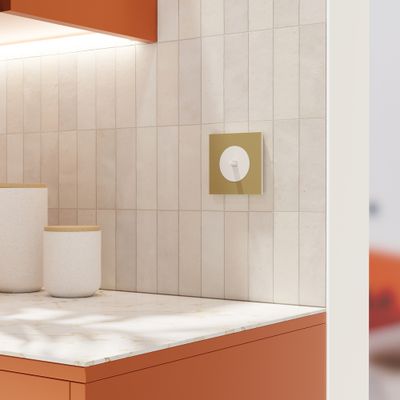 Plaque de finition 1 poste Odace 2025 Métal  effet laiton / blanc - SCHNEIDER ELECTRIC