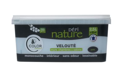Peinture naturelle murale Givre velours 2,5 L - DEFI NATURE