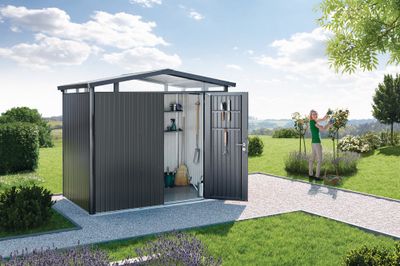 Abri de jardin en métal Panorama 4.33 m² gris foncé 1 porte BIOHORT Livraison à domicile incluse