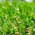 Gazon synthétique Cassis 20 mm 2 m x 3 m AG'CO