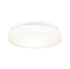 Plafonnier AXIN IP 44 E 27 blanc 18 W - PAULMANN