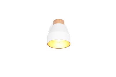 Spot E14 Valentin blanc 10W - REALITY