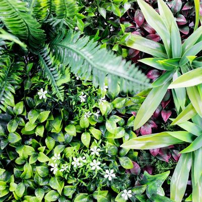 Mur végétal artificiel jungle 1m x 1m AG'CO