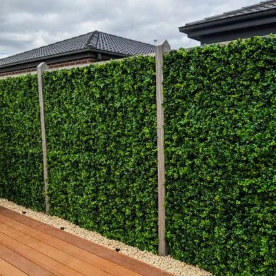 Mur végétal artificiel lierre 1m x 1m AG'CO