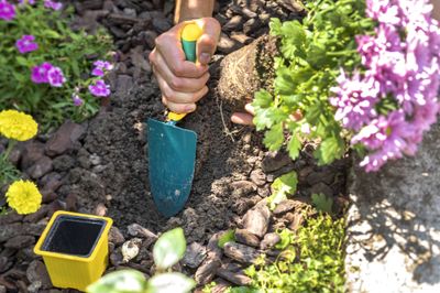 Transplantoir Duopro manche bi-matière