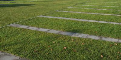 Dalle gazon verte 58,4 x 38,4 x 3,8 cm ACO