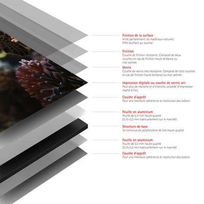 Panneaux muraux de douche 90x90x210 cm tortue DécoDesign Photo - SCHULTE