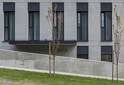 Piquet bois pin traité autoclave classe 4 - Ø50 x 2000 mm - DEBARGE