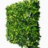 Mur végétal artificiel green 1m x 1m AG'CO