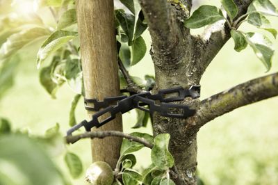 Lien d'attache cranté sécable pour plantes 5 m - WINDHAGER