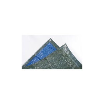 Bâche ultra-légère 2 x 3 m 50 g/m²
