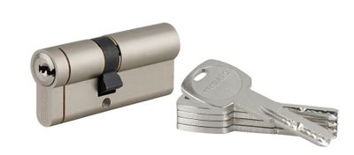Cylindre de serrure double entrée 40 x 30 mm Transit 1 haute sécurité nickelé 4 clés THIRARD