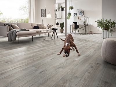 Sol stratifié décor chêne argent HIGHLAND ép 12 mm 18,8 x 184,5 cm AC5 paquet de 1,387 m² KRONOTEX