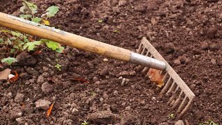 Nomenclature Manche à outil