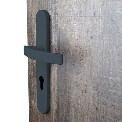 Poignées de porte sur plaques à cylindre Ibiza gris ALPERTEC