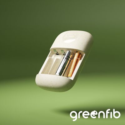 Régénérateur de piles alcalines AA / AAA - REGENBOX