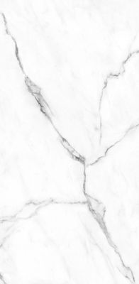 Panneau mural de douche 125x255 cm marbre de carrare DécoDesign Softtouch - SCHULTE