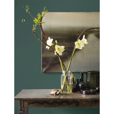 Peinture Crème de Couleur Eucalyptus satin 1,25 l - DULUX