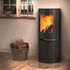 Poêle hybride bois et granulés ADURO H2 7 kW / 6,8 kW 7 étoiles flammes vertes - ADURO