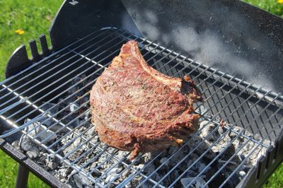 Barbecue à charbon de bois EXEL GRILL - SOMAGIC Livraison à domicile incluse