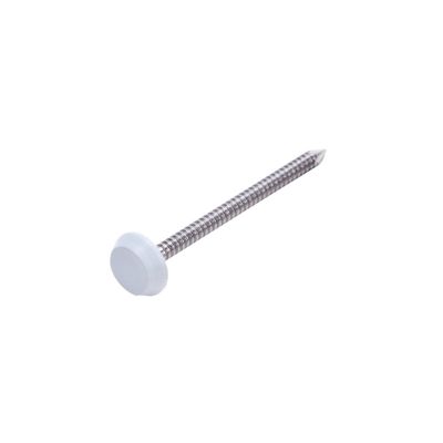 Boite 100 pointes inox tête PVC blanc 1092 pour planche de rive - DECEUNINCK