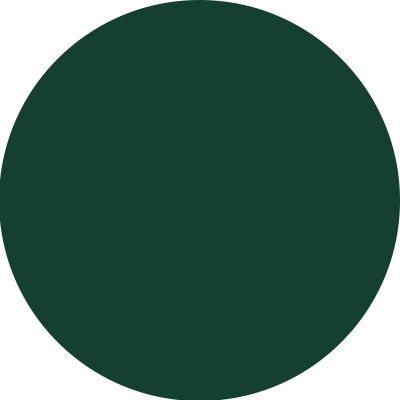 Peinture spéciale fer vert bouteille brillant 500 ml LA FABRIQUE