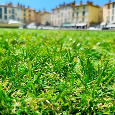 Gazon synthétique Cassis 20 mm 3 m x 1 m - AG'CO