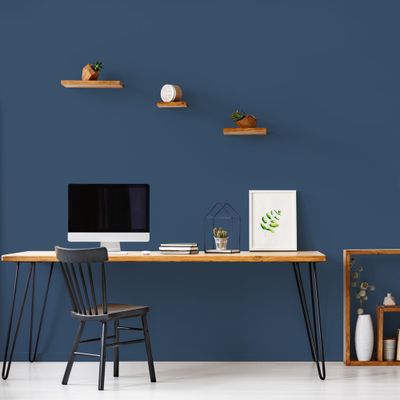 Peinture murs, boiseries et radiateurs bleu de bering velours 0,5L RIPOLIN