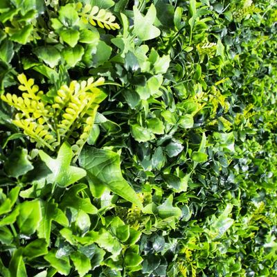 Mur végétal artificiel lierre 1m x 1m AG'CO