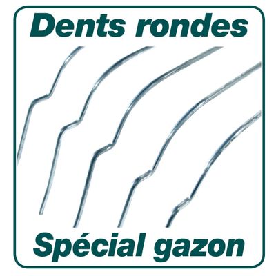 Balai à gazon fil rond 20 dents manche bois LEBORGNE