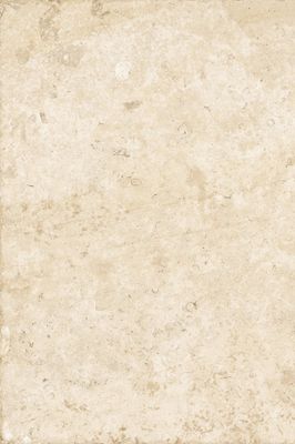 Carrelage de sol extérieur beige bord naturel 40 x 60 cm paquet de 1,2 m² HERBERIA