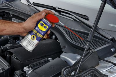Lubrifiant silicone pro 250 ml WD-40
