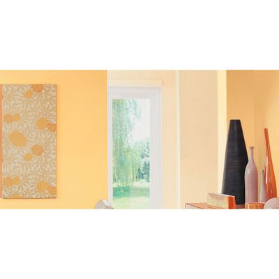Testeur couleur Pamplemousse 30 mL - DULUX VALENTINE