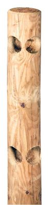 Poteau d'angle clôture bois ranch 2 perçages pin traité autoclave - Ø140 x 1500 mm - HENRY TIMBER