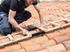 Extension d'échelle plate de toit 1 x 2 m Safety Roof en bois - HAILO