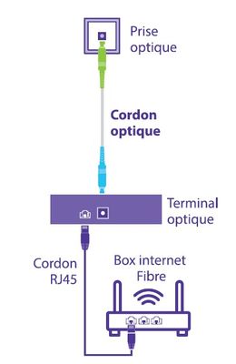 Câble fibre optique pour box Free SC/UPC-SC/APC 3 m monomode - SEDEA