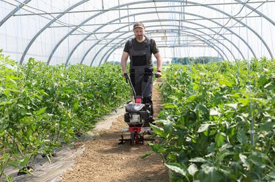 Motobineuse thermique largeur de travail 36 cm AL-KO