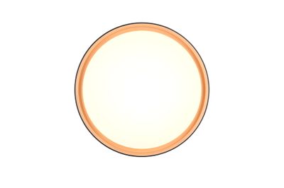 Plafonnier LED Felis or et noir 2500 lumens blanc variable CCT - REALITY