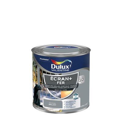 Peinture Ecran+ Fer  Brillant Gris Acier 250 mL - DULUX VALENTINE