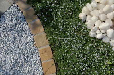 Gravillon Roul 7/15 Ice blue 25 KG - GRANULATI