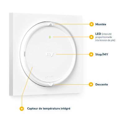 Télécommande avec capteur de température AMY 1 Modes io - SOMFY