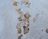 Pierre Naturelle travertin beige OPUS 4 Formats DISTRIMAT SUD