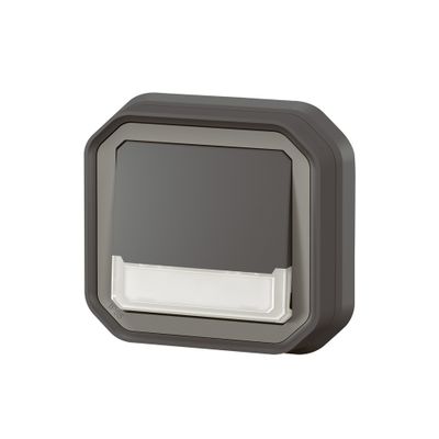 Bouton poussoir inverseur étanche IP55 lumineux + porte-étiquette encastrable Anthracite - Plexo LEGRAND