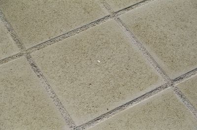 Dalle exterieure béton lisse P40 40 x 40 x 5 cm crème - GGI