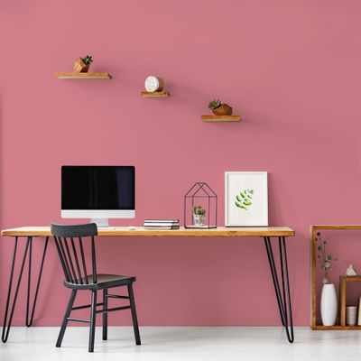 Peinture murs, boiseries et radiateurs rose hibiscus velours 0,5 L - RIPOLIN
